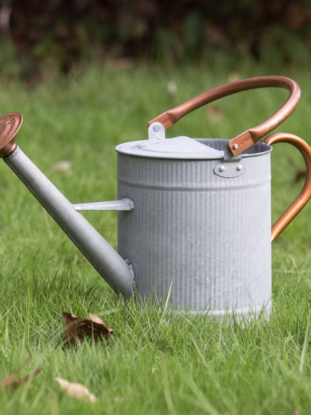 1 Gallon Watering Can, Metal Watering Can with Removable Spout, Farmhouse Galvan